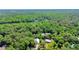 Gorgeous aerial shot of the property surrounded by mature trees, with a lake visible nearby at 5635 Burts Park Rd, De Leon Springs, FL 32130