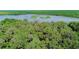 Scenic aerial view showcasing the lush landscape surrounding the property and a tranquil lake at 5635 Burts Park Rd, De Leon Springs, FL 32130