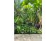 The garden has a decorative pond featuring a variety of water plants and greenery at 5635 Burts Park Rd, De Leon Springs, FL 32130