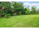 Lush green backyard with mature trees offering plenty of privacy and space at 112 Chelsea Place Ave, Ormond Beach, FL 32174
