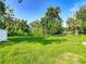 Spacious backyard with lush green grass and mature trees, enclosed by a chain-link fence at 1203 W 20Th St, Sanford, FL 32771