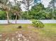 A spacious backyard featuring a lush lawn, tall palm trees, and a white privacy fence at 1229 Jeffery Dr, Port Orange, FL 32129