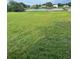 Large grassy backyard with a scenic pond view, offering a serene and private outdoor space at 2689 Courtland Blvd, Deltona, FL 32738