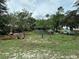 Green backyard features a charming home, white porch, and a grassy area, perfect for outdoor living at 43721 State Road 19, Altoona, FL 32702