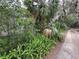 Home exterior surrounded by lush greenery, palm trees, ferns, and a natural landscape at 43721 State Road 19, Altoona, FL 32702