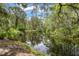 Beautiful waterfront view showcasing the serene and lush natural surroundings of the property's location at 71 Crooked Pine Rd, Port Orange, FL 32128
