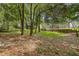 Expansive backyard with mature trees, and a small retaining wall at 1205 Weeping Willow Dr, Deland, FL 32724
