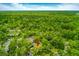 Scenic aerial perspective of a home surrounded by dense trees, offering privacy and a sense of natural seclusion at 127 Cypress Pond Rd, Port Orange, FL 32128