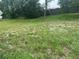 Backyard featuring a flat terrain with some trees and greenery at 1556 Ferendina Dr, Deltona, FL 32725