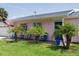 Close-up view of the pink house exterior with palm trees and blue front door and chairs creating a tropical vibe at 179 Ann Rustin S Dr, Ormond Beach, FL 32176