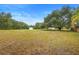 Expansive backyard with a mix of lush greenery, mature trees, and open space at 185 Brookside Dr, Port Orange, FL 32128