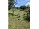 Tranquil backyard scene with pond and wildlife at 223 W Fiesta Key Loop, Deland, FL 32720