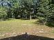 Expansive backyard featuring mature trees, with building in the background at 2380 Spring Hollow Drive, Orange City, FL 32763