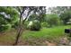 View of the backyard featuring lush greenery and ample space for outdoor activities and landscaping at 2380 Spring Hollow Drive, Orange City, FL 32763