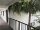 Exterior corridor and railing with a palm tree at 2565 Oak Park Way # 213, Orlando, FL 32822