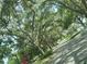 Tree-lined street in the neighborhood at 2565 Oak Park Way # 213, Orlando, FL 32822