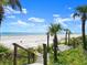Scenic path to the beach, lined with lush vegetation and palm trees, leading to the sandy shore at 2833 S Atlantic Ave, Daytona Beach, FL 32118