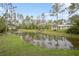 Scenic view of a home overlooking a large pond, lush greenery, and surrounding trees at 3671 Plantation Dr, Ormond Beach, FL 32174