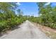 Long gravel driveway leading through lush trees and foliage to a secluded homesite with privacy at 43350 Natchez St, Deland, FL 32720