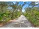 The driveway stretches out on this private lot, creating a sense of seclusion and access to a secluded property at 43350 Natchez St, Deland, FL 32720