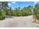 A long gravel driveway leads to a tranquil and private property surrounded by lush greenery at 43350 Natchez St, Deland, FL 32720