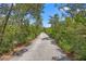 This long gravel driveway is lined with greenery and leads to a serene and private property at 43350 Natchez St, Deland, FL 32720