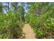 This walking path is full of greenery and offers a tranquil escape into nature at 43350 Natchez St, Deland, FL 32720