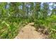 A peaceful walking path is lined with lush foliage, perfect for enjoying the outdoors at 43350 Natchez St, Deland, FL 32720