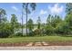 Relaxing backyard view overlooking lush greenery and serene lake view at 1314 Lake Baton Dr, Deltona, FL 32725