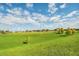 Vast community field with sports lighting, offering ample space for recreation and activities at 136 Columbia Dr, Kissimmee, FL 34759