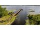 Aerial view of a long wooden dock extending into a serene lake, surrounded by lily pads and lush vegetation at 19232 Park Place Blvd, Eustis, FL 32736