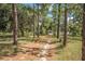 Long driveway lined with trees leads to a charming home, offering privacy and a sense of seclusion at 2620 Doyle Rd, Deltona, FL 32738