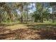 Backyard view of property with sprawling lawn and mature trees, creating a private oasis at 2620 Doyle Rd, Deltona, FL 32738