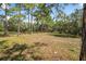 Open plot of land with lush green grass and mature trees, ideal for building or recreation at 2620 Doyle Rd, Deltona, FL 32738