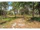 Scenic view of open property with mature trees creating a picturesque and inviting landscape at 2620 Doyle Rd, Deltona, FL 32738