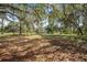 Scenic property showcasing lush trees with Spanish moss, offering a serene and secluded setting at 2620 Doyle Rd, Deltona, FL 32738