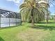 Well-manicured backyard with a tall palm tree and lush green lawn at 456 Sea Duck Dr, Daytona Beach, FL 32119