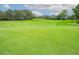 The meticulously manicured golf course at Sugar Mill Country Club at 727 Grape Ivy Ln, New Smyrna Beach, FL 32168