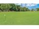 A view of the putting green featuring manicured grass and landscaping, part of the Sugar Mill Country Club at 727 Grape Ivy Ln, New Smyrna Beach, FL 32168