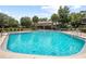 Large community pool surrounded by palm trees and lounge chairs at 874 Commonwealth Ct, Casselberry, FL 32707