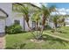 Well-kept townhome with lush green lawn and mature palm trees at 903 Deer Springs Rd, Port Orange, FL 32129