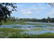 Scenic view of the community waterway, teeming with native plants and trees at 942 Lemon Bluff Rd, Osteen, FL 32764