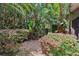 Lush landscaping featuring tropical plants and shrubs creating a serene and private garden setting at 1555 Mercers Fernery Rd, Deland, FL 32720