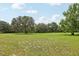 An expansive green pasture featuring mature shade trees and healthy grass at 1555 Mercers Fernery Rd, Deland, FL 32720