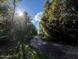 Scenic view of a long dirt driveway leading through a wooded area under a bright, sunny sky at 17531 Ne 139Th Ave, Fort Mc Coy, FL 32134