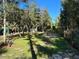 Wide shot of a wooded property featuring a steel outbuilding, trees, and a grassy area under a blue sky at 17531 Ne 139Th Ave, Fort Mc Coy, FL 32134