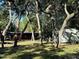 An idyllic, shaded yard with an abundance of mature trees, and an outbuilding in the background at 17531 Ne 139Th Ave, Fort Mc Coy, FL 32134