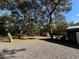 View of the yard and shed, with trees at 17531 Ne 139Th Ave, Fort Mc Coy, FL 32134