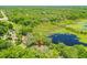 Aerial view of a cozy home surrounded by lush greenery and a serene lake at 2163 Fireside Rd, Deltona, FL 32738