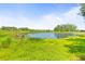 Lush green backyard with a pond beyond the grass at 2163 Fireside Rd, Deltona, FL 32738